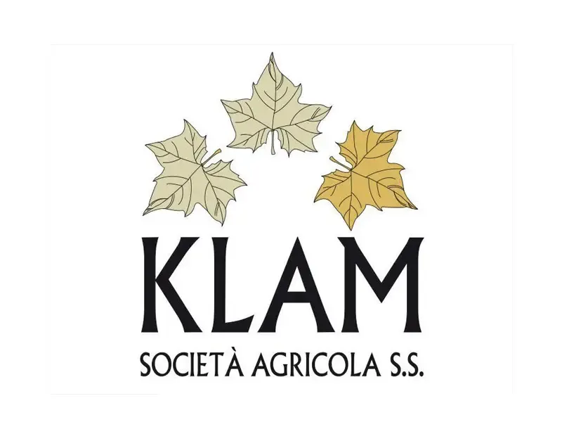 Klamsa