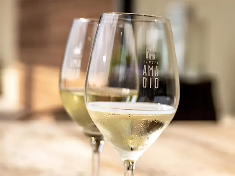 Tenuta Amadio