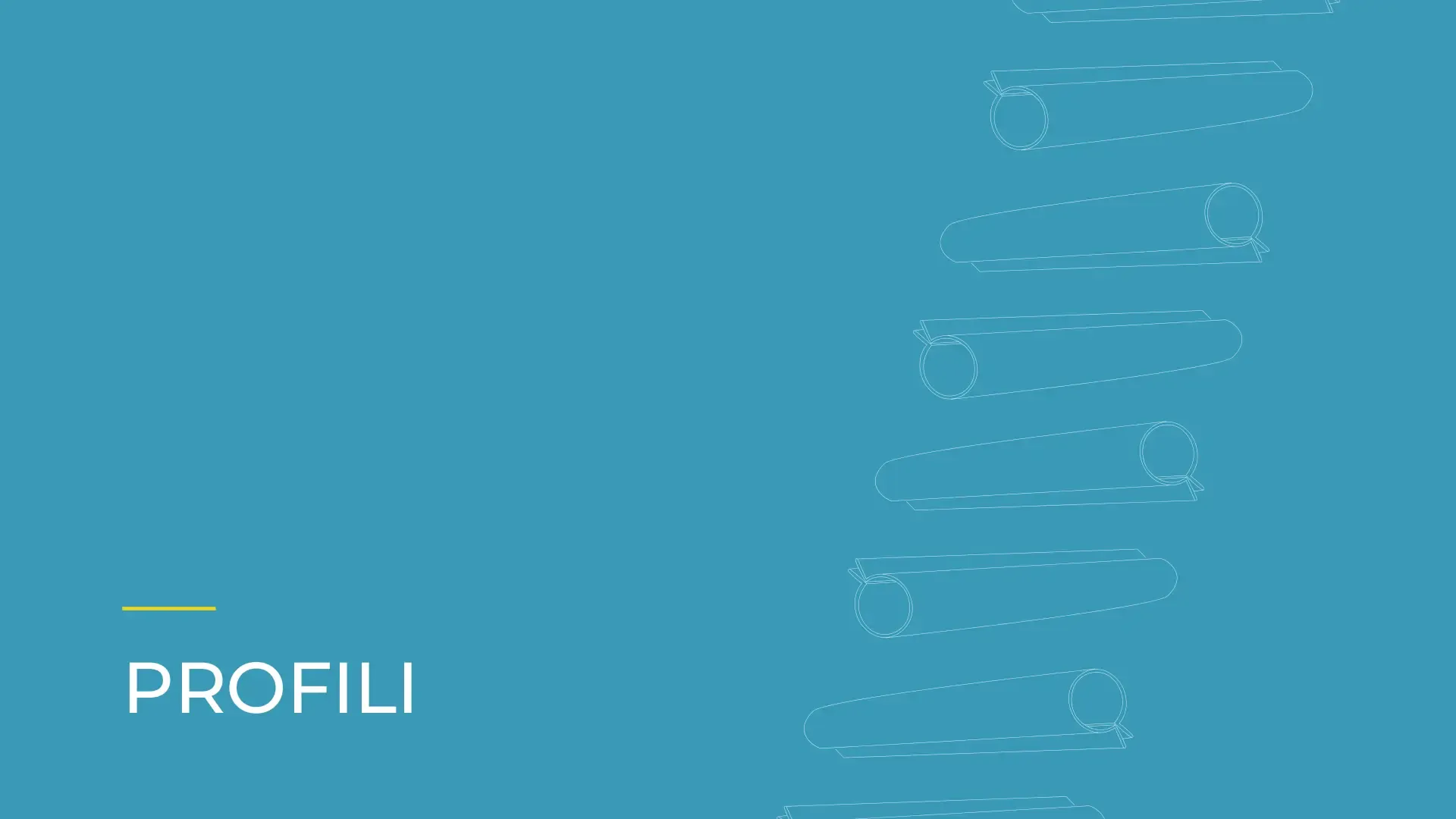 Turtle Srl — Catalogo Prodotti e Listini